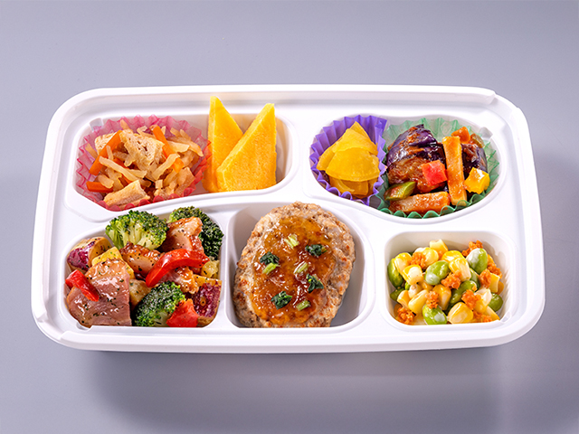 宅配弁当・普通食