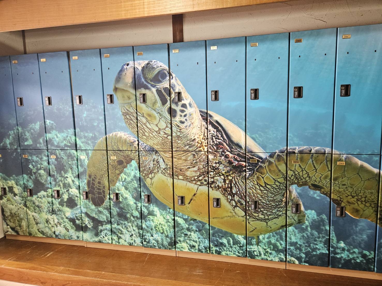 マリンロッカー1