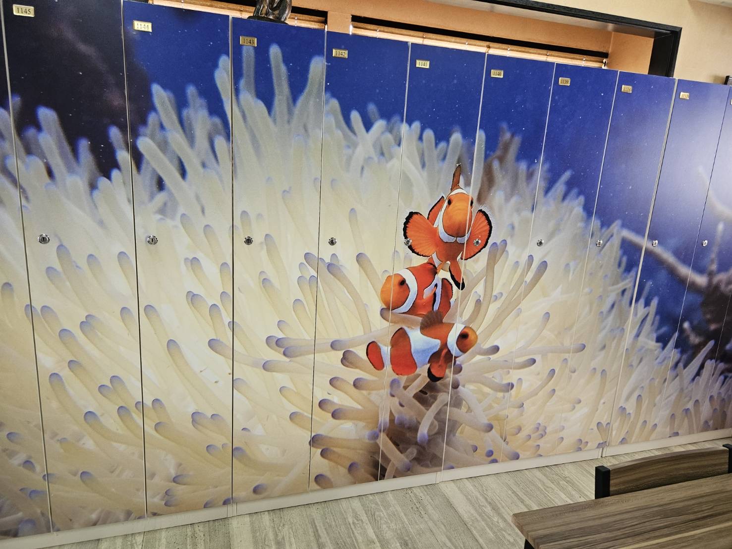 マリンロッカー2